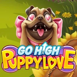 Go High Puppy Love – slot by RubyPlay, featured at roulettinocasino.eu