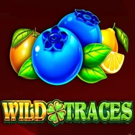 Wild Traces slot logo by Amusnet Interactive at Roulettino Casino